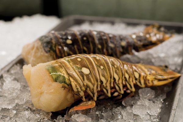 88726843170141.57e58742ba434